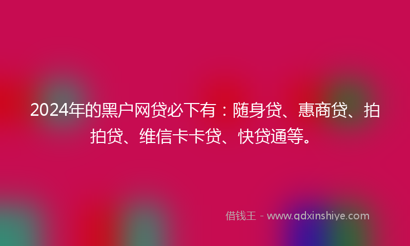 2024年的黑户网贷必下有：随身贷、惠商贷、拍拍贷、维信卡卡贷、快贷通等。