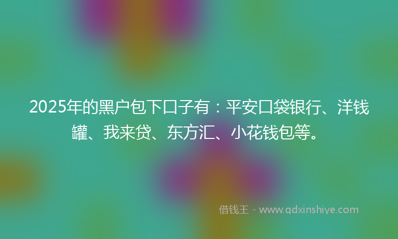 2025年的黑户包下口子有：平安口袋银行、洋钱罐、我来贷、东方汇、小花钱包等。