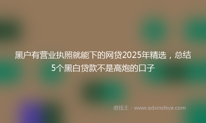 黑户有营业执照就能下的网贷2025年精选，总结5个黑白贷款不是高炮的口子