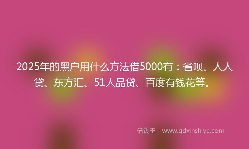 2025年的黑户用什么方法借5000有：省呗、人人贷、东方汇、51人品贷、百度有钱花等。