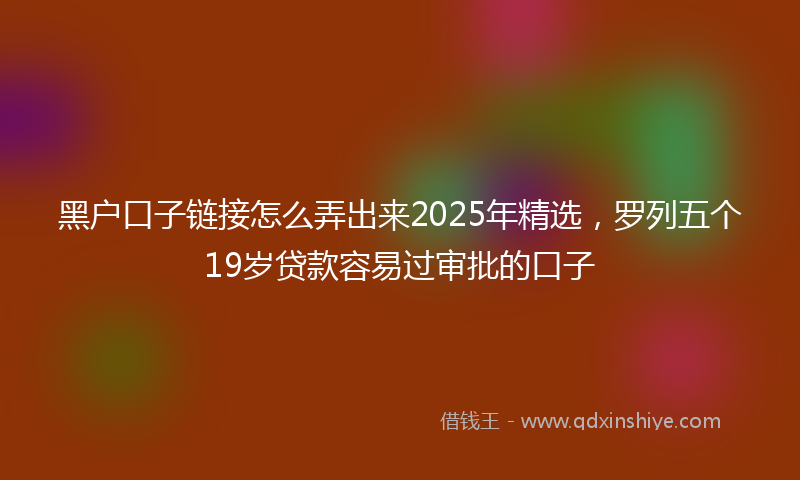 黑户口子链接怎么弄出来2025年精选，罗列五个19岁贷款容易过审批的口子