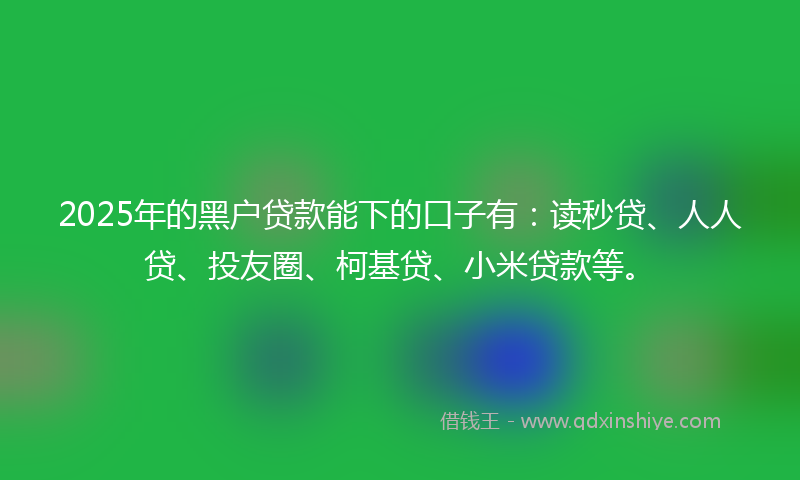 2025年的黑户贷款能下的口子有：读秒贷、人人贷、投友圈、柯基贷、小米贷款等。
