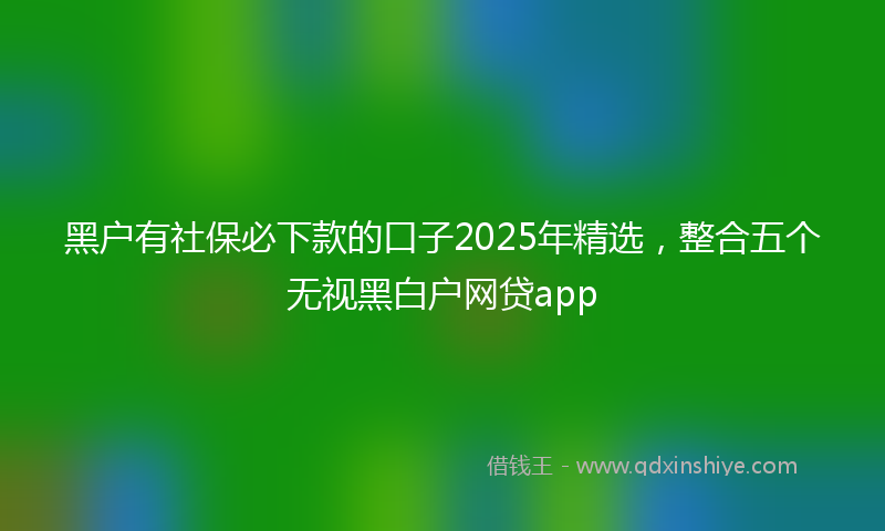黑户有社保必下款的口子2025年精选，整合五个无视黑白户网贷app