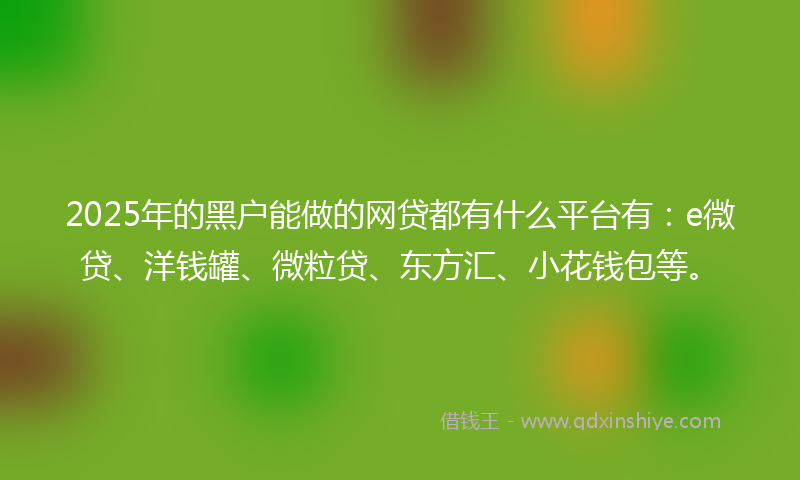 2025年的黑户能做的网贷都有什么平台有：e微贷、洋钱罐、微粒贷、东方汇、小花钱包等。