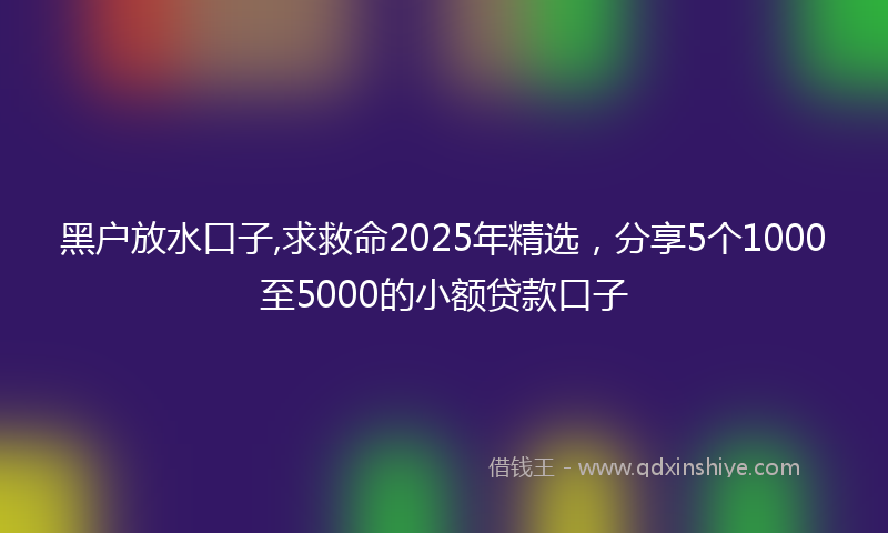 黑户放水口子,求救命2025年精选，分享5个1000至5000的小额贷款口子
