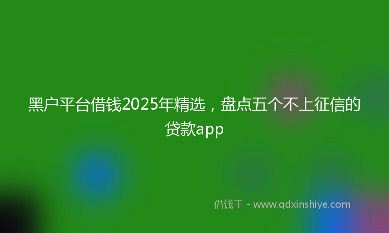 黑户平台借钱2025年精选，盘点五个不上征信的贷款app