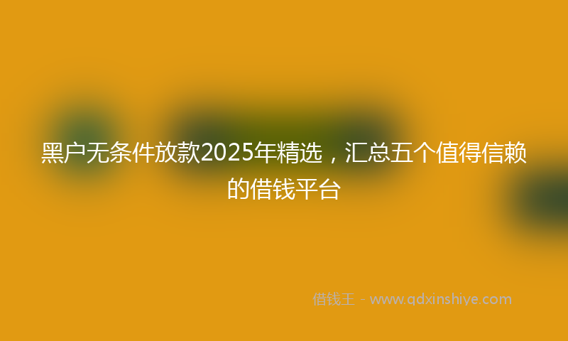 黑户无条件放款2025年精选，汇总五个值得信赖的借钱平台