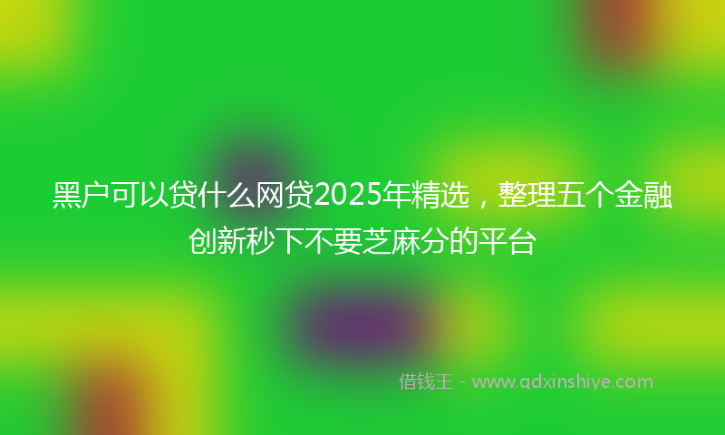 黑户可以贷什么网贷2025年精选，整理五个金融创新秒下不要芝麻分的平台