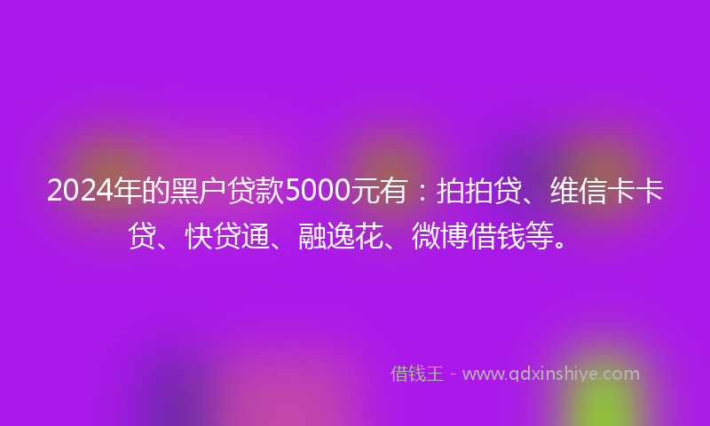 2024年的黑户贷款5000元有：拍拍贷、维信卡卡贷、快贷通、融逸花、微博借钱等。