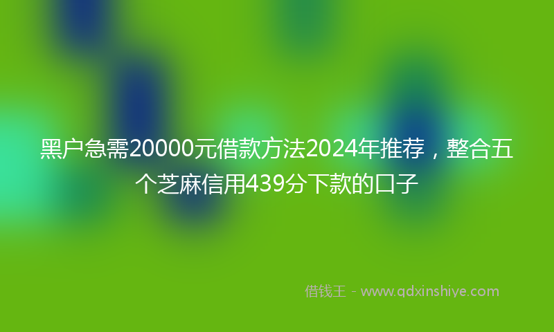 黑户急需20000元借款方法2024年推荐，整合五个芝麻信用439分下款的口子