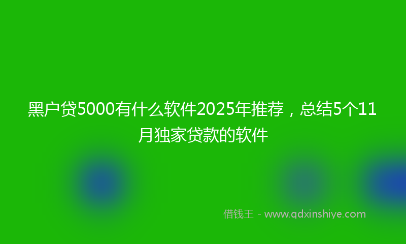 黑户贷5000有什么软件2025年推荐，总结5个11月独家贷款的软件