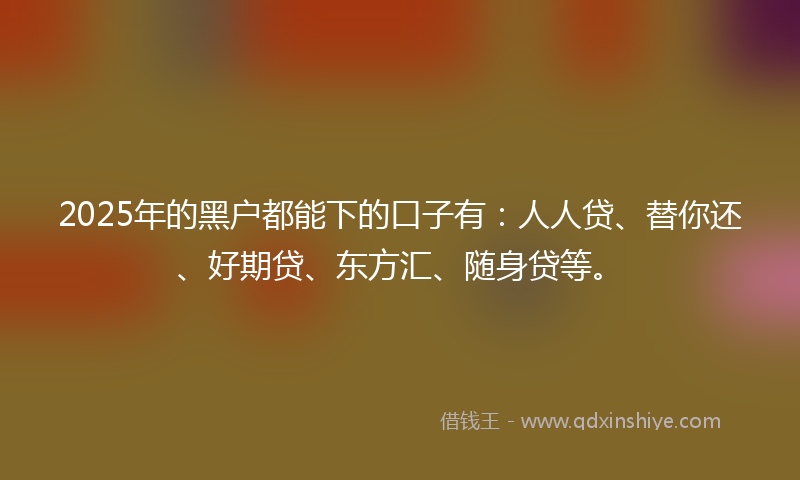 2025年的黑户都能下的口子有：人人贷、替你还、好期贷、东方汇、随身贷等。