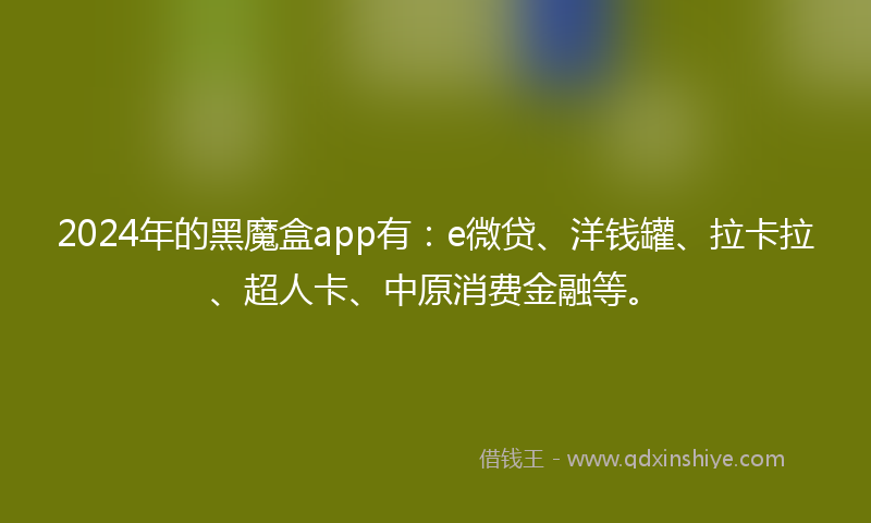 2024年的黑魔盒app有：e微贷、洋钱罐、拉卡拉、超人卡、中原消费金融等。