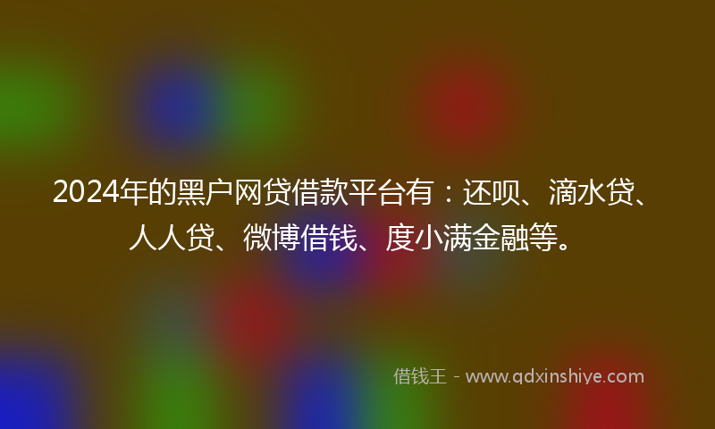 2024年的黑户网贷借款平台有：还呗、滴水贷、人人贷、微博借钱、度小满金融等。