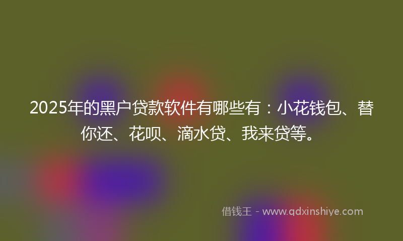 2025年的黑户贷款软件有哪些有：小花钱包、替你还、花呗、滴水贷、我来贷等。