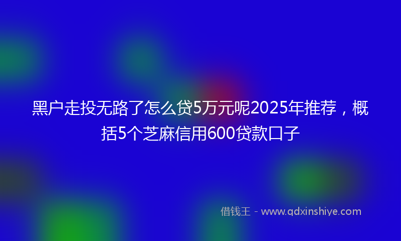 黑户走投无路了怎么贷5万元呢2025年推荐，概括5个芝麻信用600贷款口子