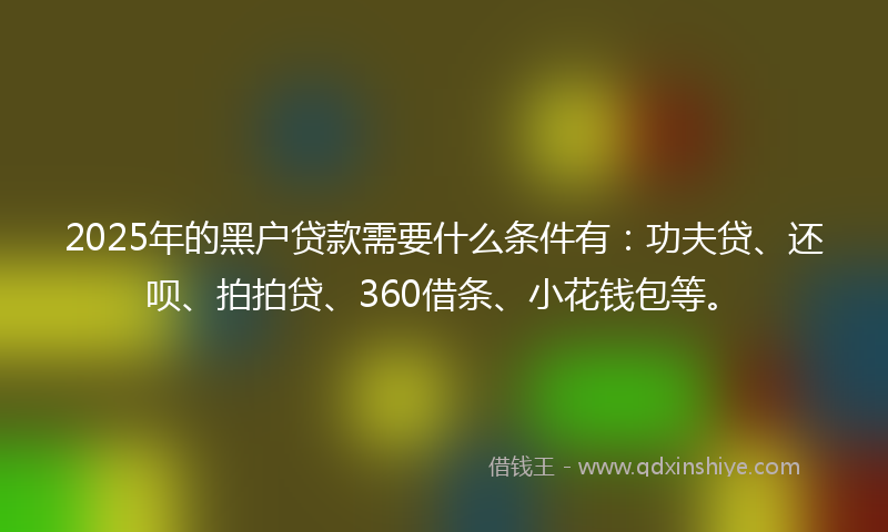 2025年的黑户贷款需要什么条件有：功夫贷、还呗、拍拍贷、360借条、小花钱包等。