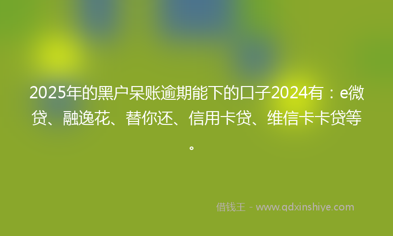 2025年的黑户呆账逾期能下的口子2024有：e微贷、融逸花、替你还、信用卡贷、维信卡卡贷等。