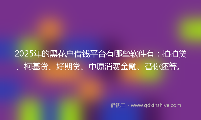 2025年的黑花户借钱平台有哪些软件有：拍拍贷、柯基贷、好期贷、中原消费金融、替你还等。