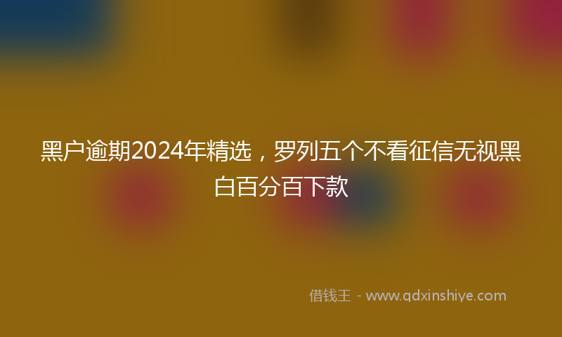 黑户逾期2024年精选，罗列五个不看征信无视黑白百分百下款