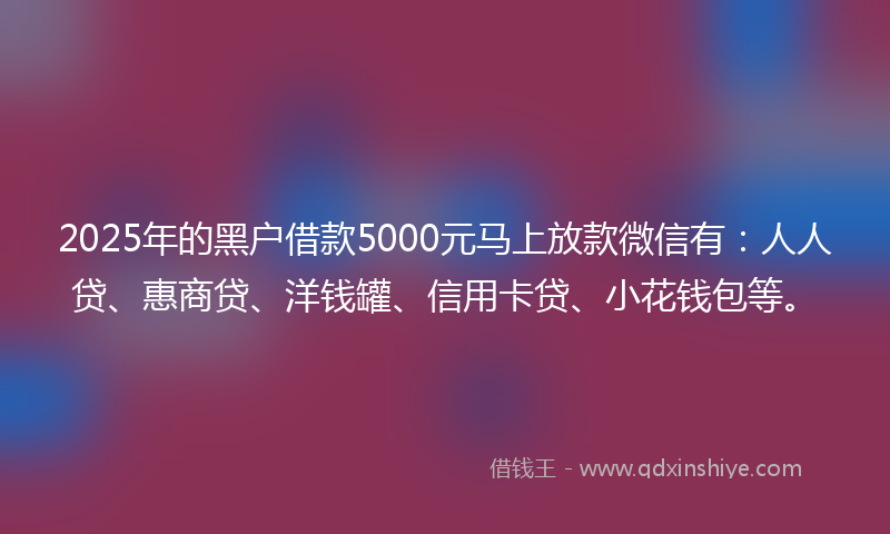 2025年的黑户借款5000元马上放款微信有：人人贷、惠商贷、洋钱罐、信用卡贷、小花钱包等。