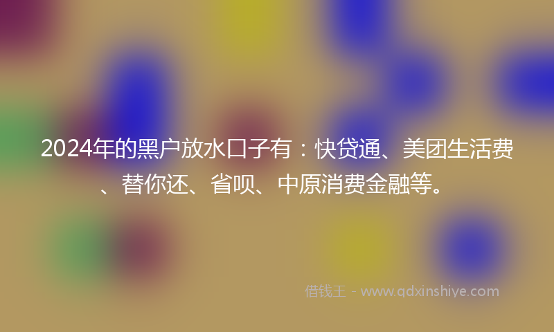 2024年的黑户放水口子有：快贷通、美团生活费、替你还、省呗、中原消费金融等。