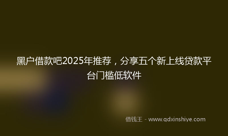 黑户借款吧2025年推荐，分享五个新上线贷款平台门槛低软件