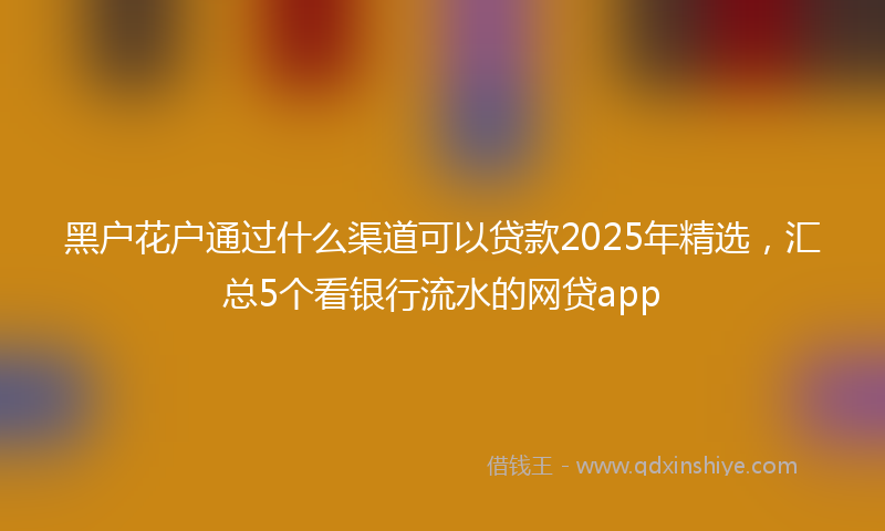 黑户花户通过什么渠道可以贷款2025年精选，汇总5个看银行流水的网贷app