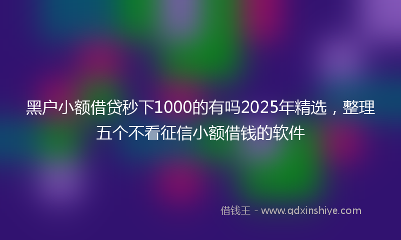 黑户小额借贷秒下1000的有吗2025年精选，整理五个不看征信小额借钱的软件