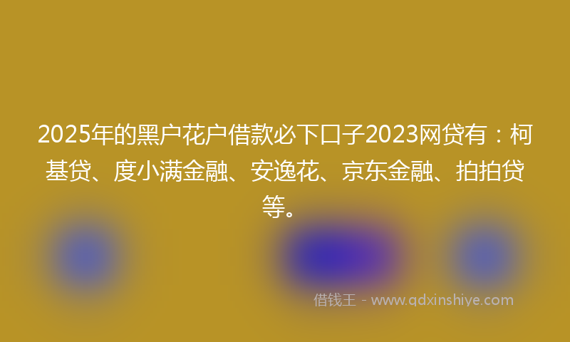 2025年的黑户花户借款必下口子2023网贷有：柯基贷、度小满金融、安逸花、京东金融、拍拍贷等。