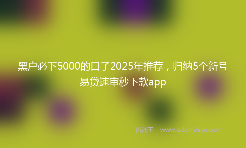黑户必下5000的口子2025年推荐，归纳5个新号易贷速审秒下款app