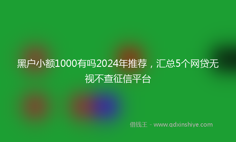 黑户小额1000有吗2024年推荐，汇总5个网贷无视不查征信平台