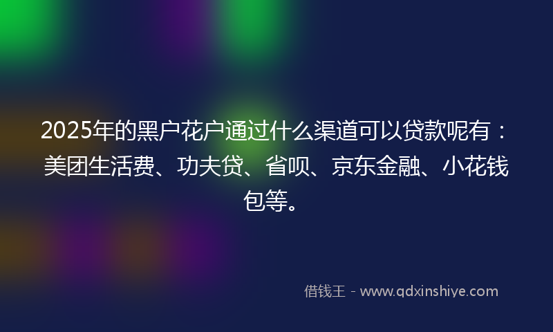2025年的黑户花户通过什么渠道可以贷款呢有：美团生活费、功夫贷、省呗、京东金融、小花钱包等。