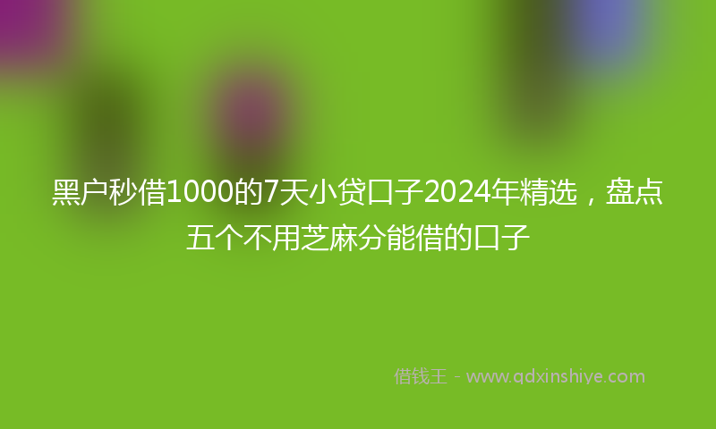 黑户秒借1000的7天小贷口子2024年精选，盘点五个不用芝麻分能借的口子
