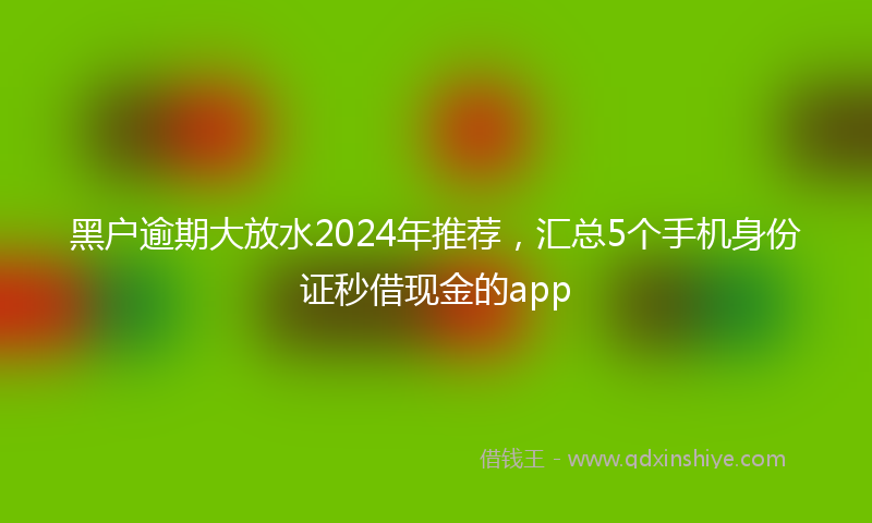 黑户逾期大放水2024年推荐，汇总5个手机身份证秒借现金的app