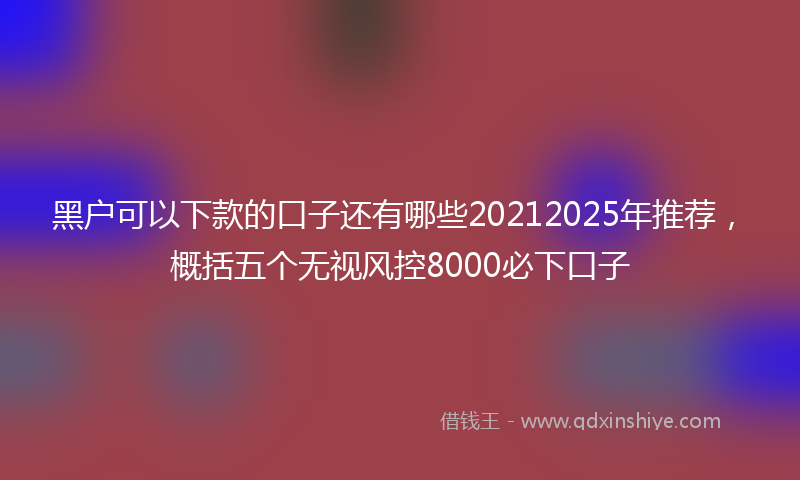 黑户可以下款的口子还有哪些20212025年推荐，概括五个无视风控8000必下口子