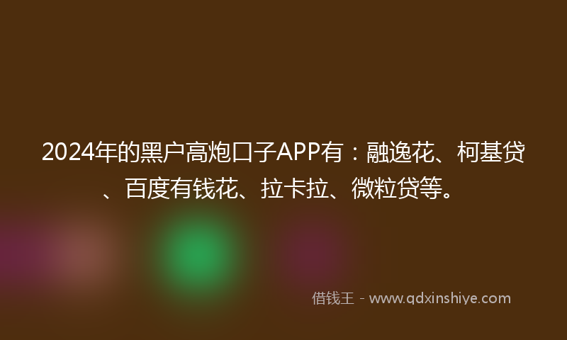 2024年的黑户高炮口子APP有：融逸花、柯基贷、百度有钱花、拉卡拉、微粒贷等。