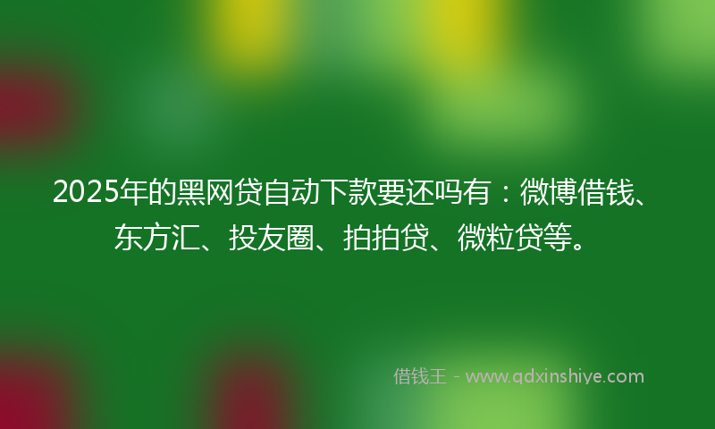 2025年的黑网贷自动下款要还吗有：微博借钱、东方汇、投友圈、拍拍贷、微粒贷等。