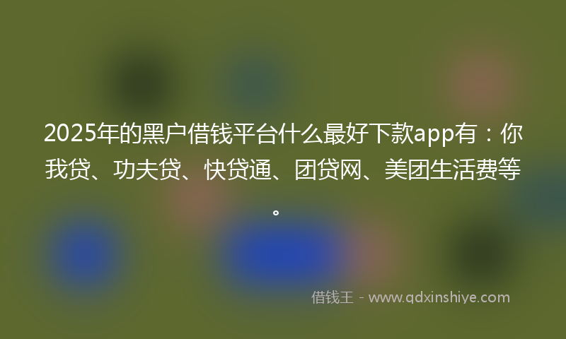 2025年的黑户借钱平台什么最好下款app有：你我贷、功夫贷、快贷通、团贷网、美团生活费等。