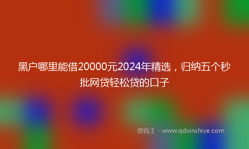 黑户哪里能借20000元2024年精选，归纳五个秒批网贷轻松贷的口子