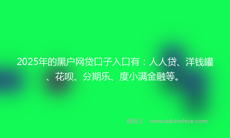 2025年的黑户网贷口子入口有：人人贷、洋钱罐、花呗、分期乐、度小满金融等。