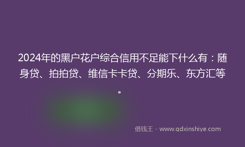 2024年的黑户花户综合信用不足能下什么有：随身贷、拍拍贷、维信卡卡贷、分期乐、东方汇等。