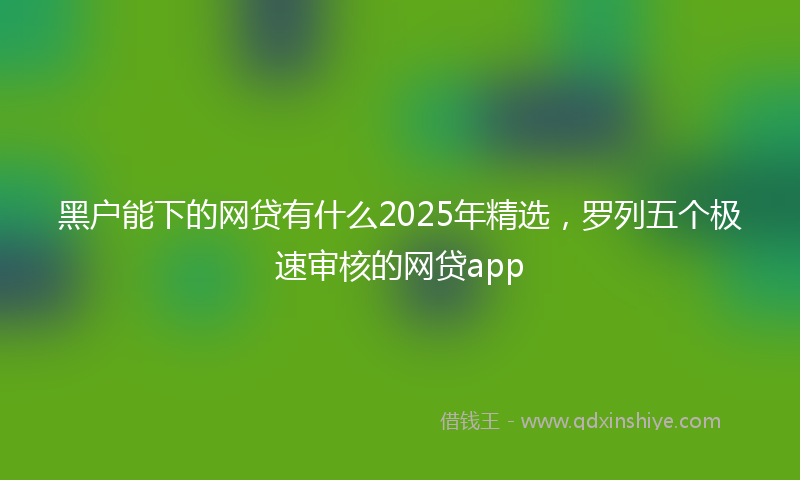 黑户能下的网贷有什么2025年精选，罗列五个极速审核的网贷app