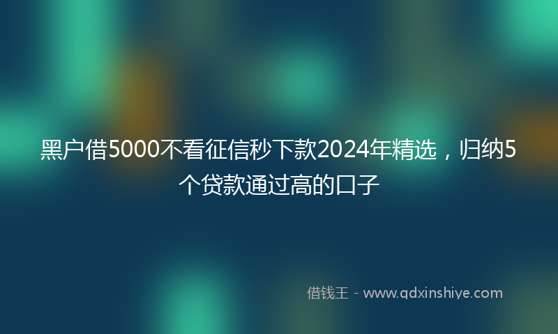 黑户借5000不看征信秒下款2024年精选，归纳5个贷款通过高的口子