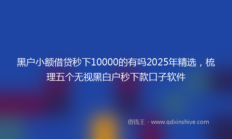 黑户小额借贷秒下10000的有吗2025年精选，梳理五个无视黑白户秒下款口子软件