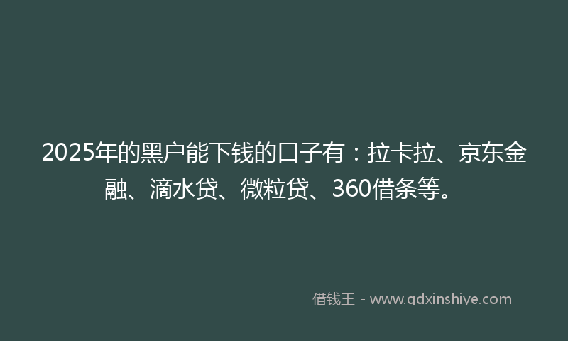 2025年的黑户能下钱的口子有：拉卡拉、京东金融、滴水贷、微粒贷、360借条等。