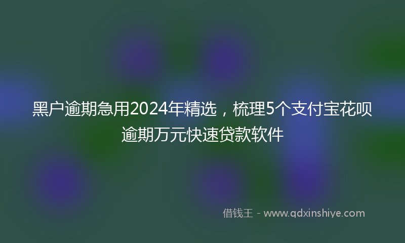 黑户逾期急用2024年精选，梳理5个支付宝花呗逾期万元快速贷款软件