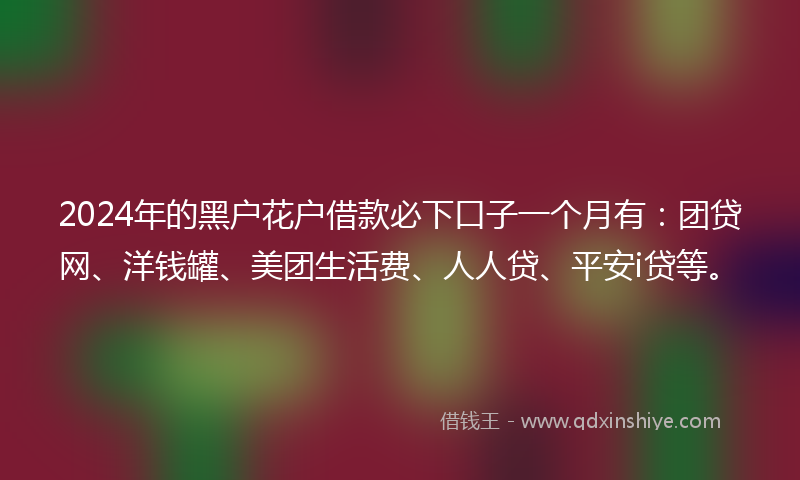 2024年的黑户花户借款必下口子一个月有：团贷网、洋钱罐、美团生活费、人人贷、平安i贷等。