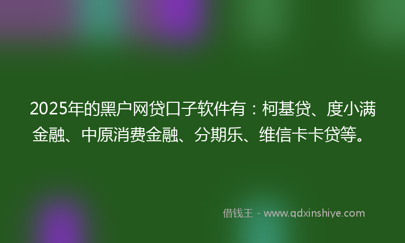 2025年的黑户网贷口子软件有：柯基贷、度小满金融、中原消费金融、分期乐、维信卡卡贷等。