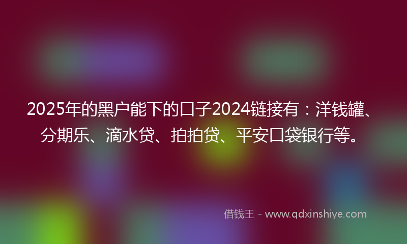 2025年的黑户能下的口子2024链接有：洋钱罐、分期乐、滴水贷、拍拍贷、平安口袋银行等。